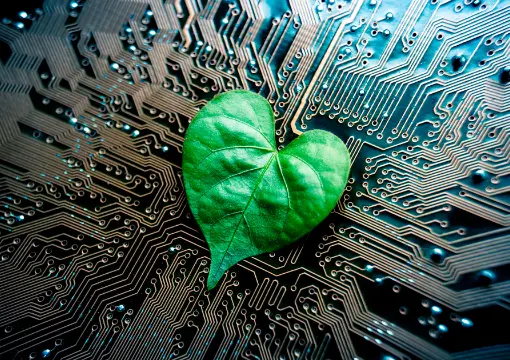 乐鱼体育在线案例